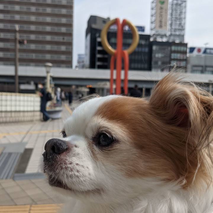 Ffd3412e 50c1 4cda b489 27b7c4c820a0 1616833623890