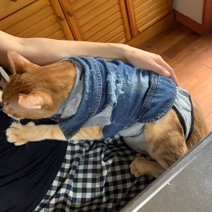 Ffd3493f 2381 4d7b 8851 5c1a62791303 1660513836902