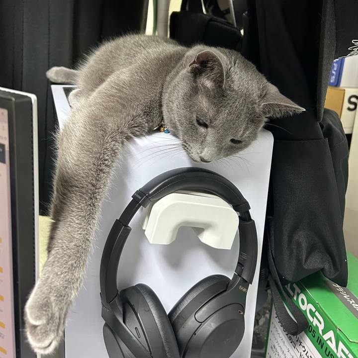 Ffd34a77 9047 4190 a5b9 69a93eba034b 1683429549998