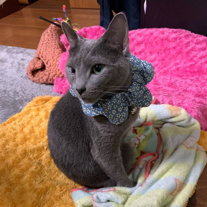 Ffd35da5 37aa 46d6 ad5b 8c5dbfe062fb 1648559973108