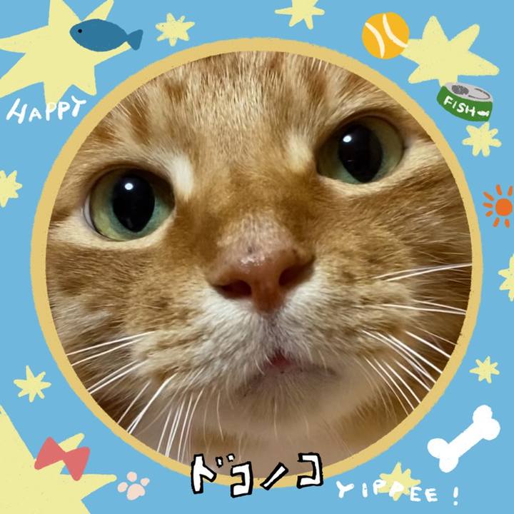 Ffd36c0b adcc 47cd 9a49 4802db2ad91b 1720873521709