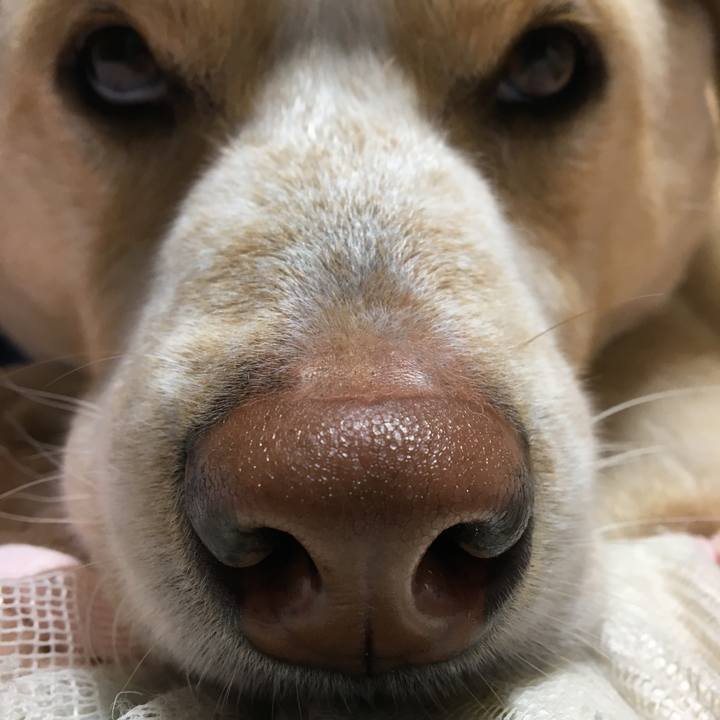 Ffd3a710 fe3c 460c bf3b 7e40cf9a9cb3 1523445156728