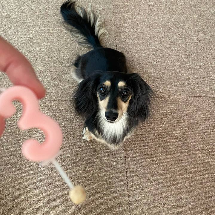 Ffd3c6d8 d43e 47ba 823d bb5939fd33c0 1753482323522