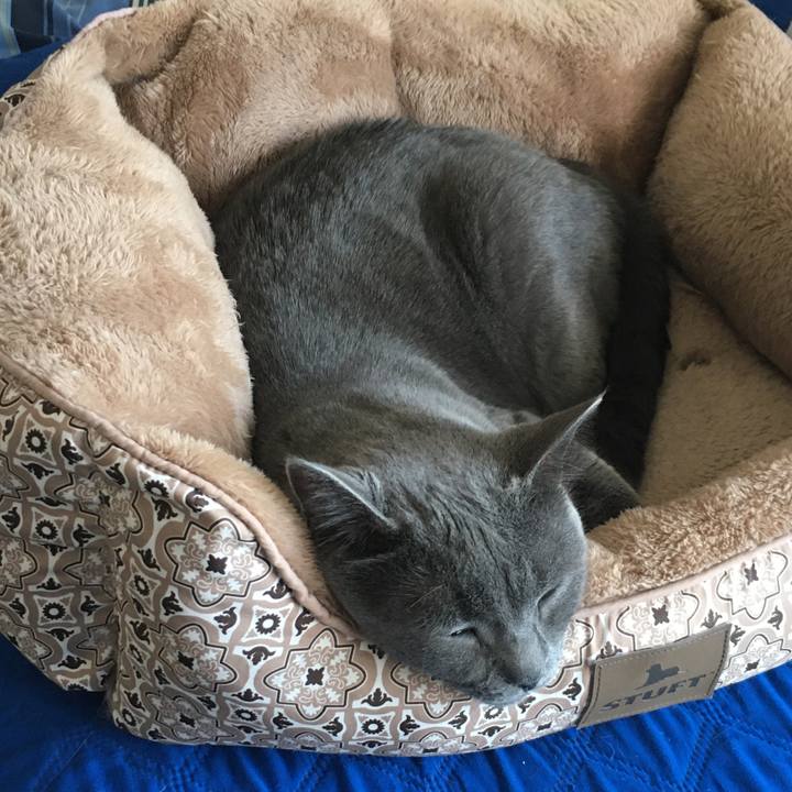 Ffd3cacb 0e20 4c96 8ebe 2908edda34c8 1636263056348