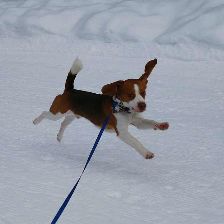 Ffd3e1e1 7168 413e 85df 02f20cde0713 1518614184670