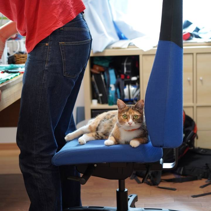 Ffd3eeb8 97cf 4192 8a1b 1c8dd9dc7be3 1624065798004