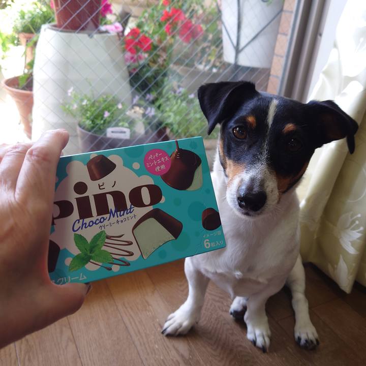 Ffd3f744 d7e6 49cb 8b4a 93f6230f2990 1713492833192