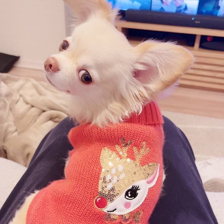 Ffd41e34 6837 4dde 958f d9278edff949 1732625201980