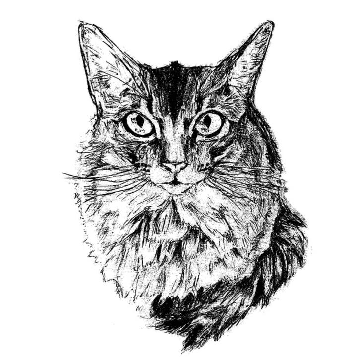 Ffd44150 ece6 4056 90be 36a1e6d10af4 1657081225200