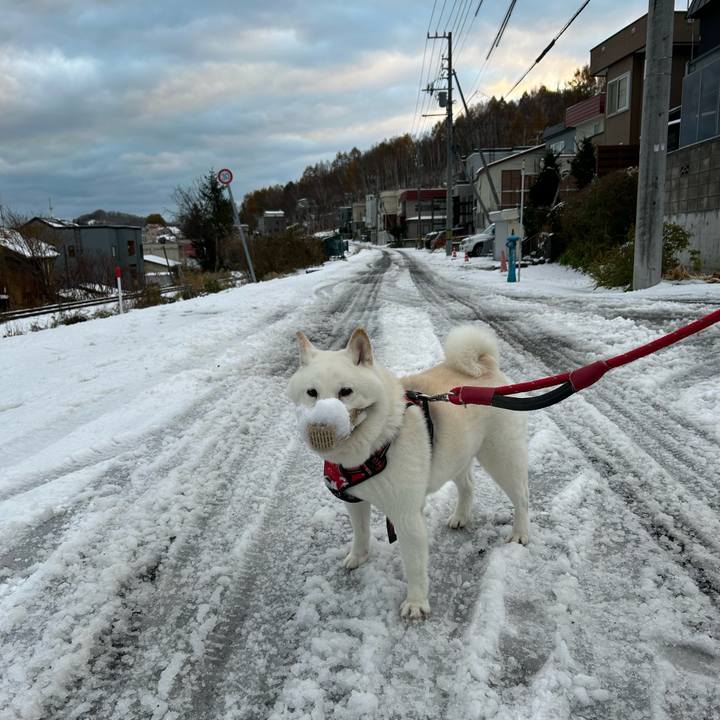 Ffd481f9 1aa5 4dfd ac36 dfca59ea8878 1762898412866