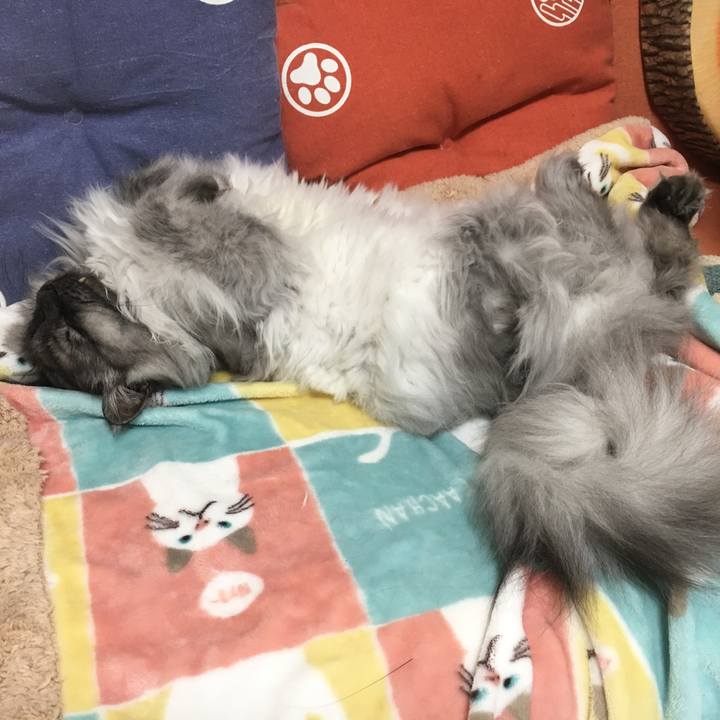 Ffd4b3d8 06ce 48ea ac65 1fd599aba7ae 1554426940945