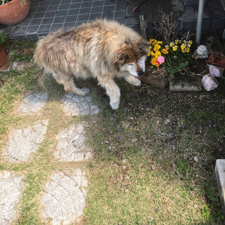 Ffd4cef0 3bd0 42a8 8c17 4bb9eab78ca3 1580101733060