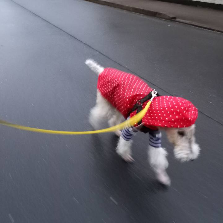 Ffd4d82d 3ea8 4140 a1b6 ddf53e514f4c 1638832410033