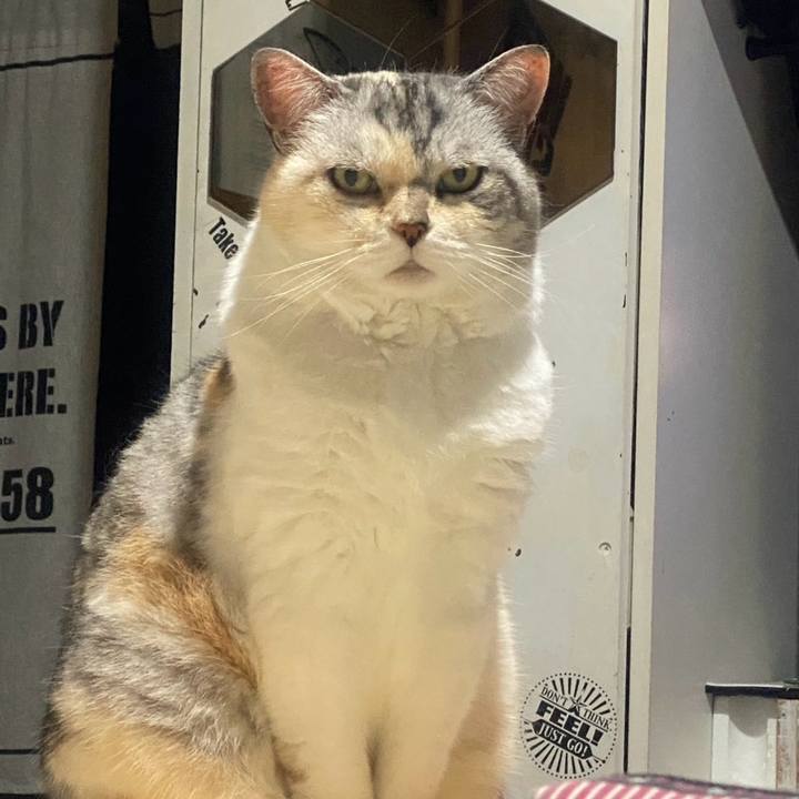 Ffd4dfbb d0c5 47d6 8c3a 533a32a86dce 1749479832619