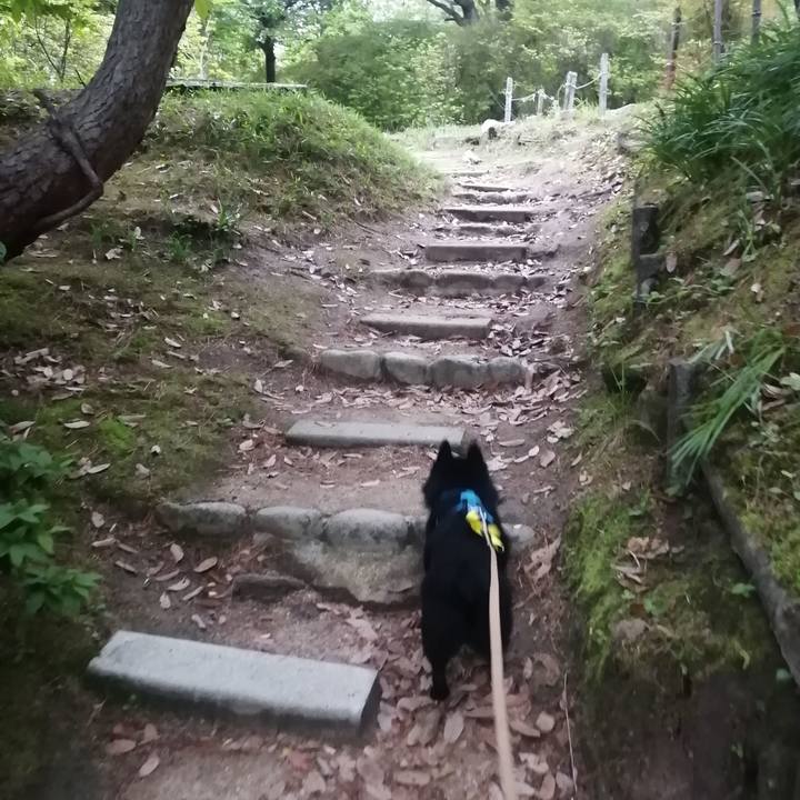 Ffd4ff02 c89b 464c bb42 82451744fd29 1650920856594