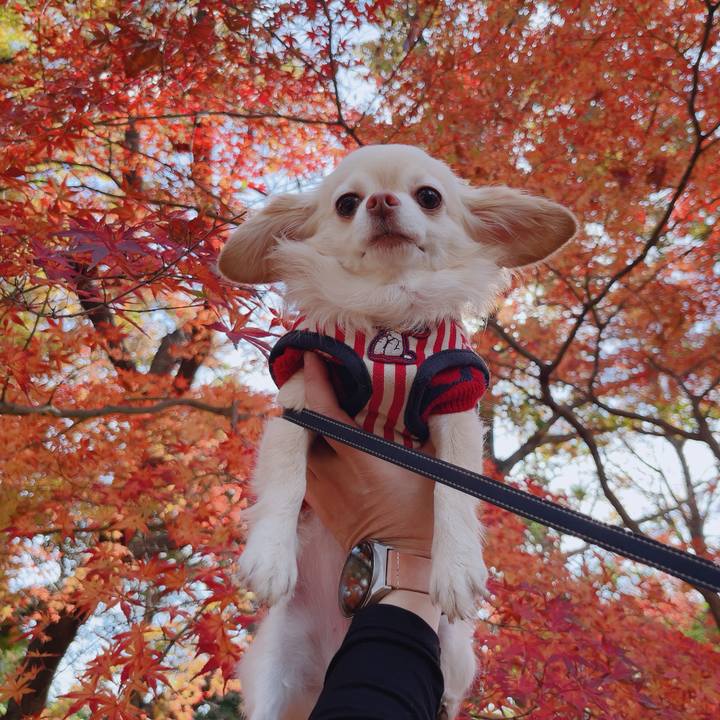 Ffd51ece f666 4f27 bb37 1dab2c05ee5d 1763989161914