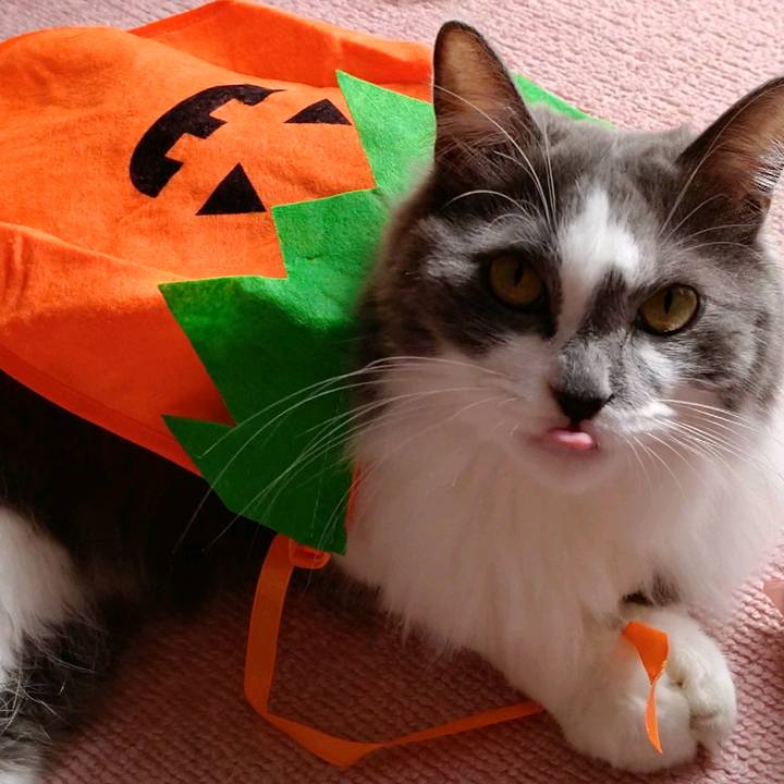 Ffd52143 2a1a 4cbd a143 9e484ca16f46 1602391627222