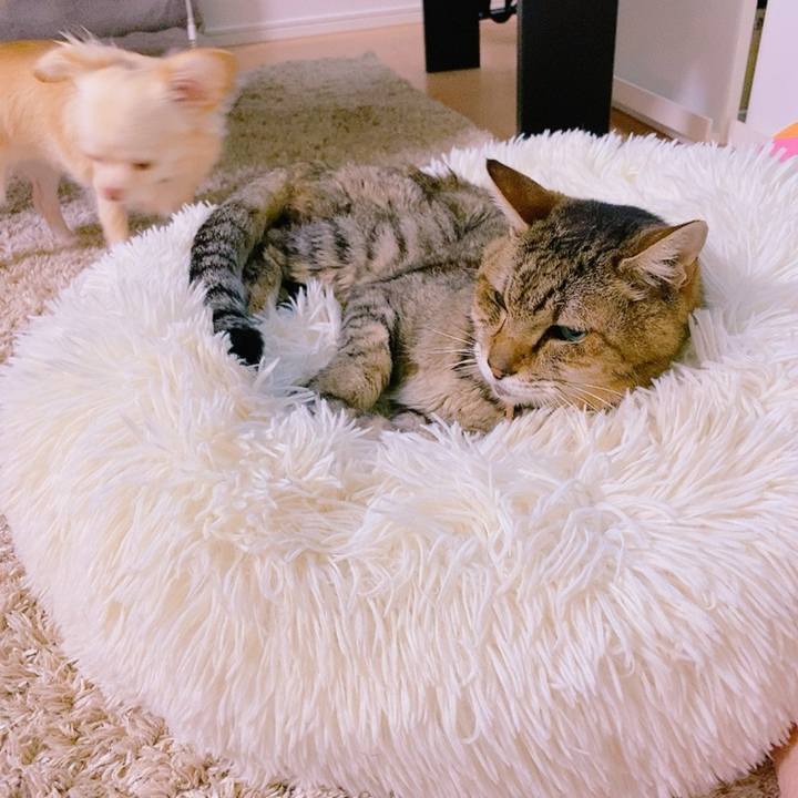 Ffd52808 7578 4762 8f95 15f8391d0584 1697628820118