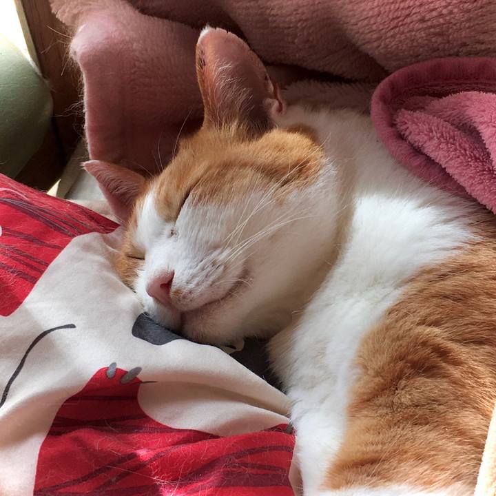 Ffd52955 e775 419f b3b7 c721f7f02425 1572608479105