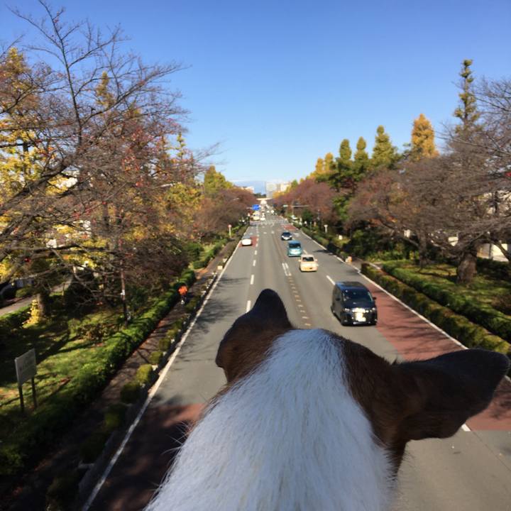 Ffd534bc 8ee7 4b94 845b 5420535e1270 1575081258508