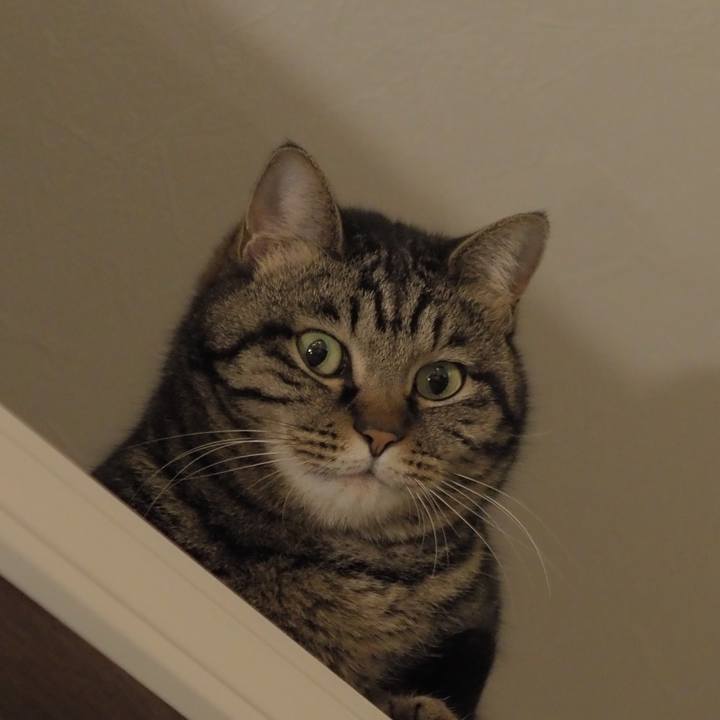 Ffd54b2c 61ff 4344 b684 fb71bf7bc2f6 1649773552232