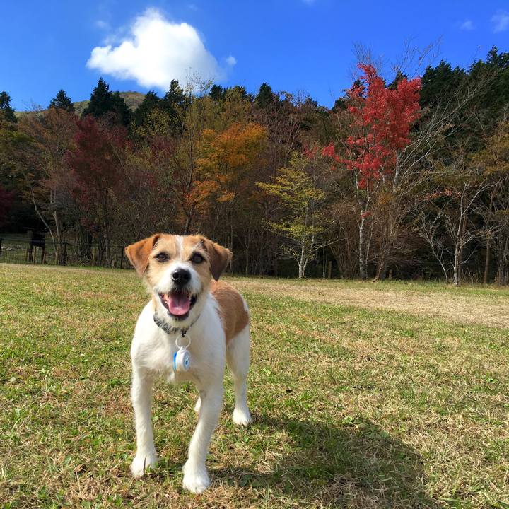 Ffd57df1 c603 4e2f 8b07 824af822c414 1573906583220