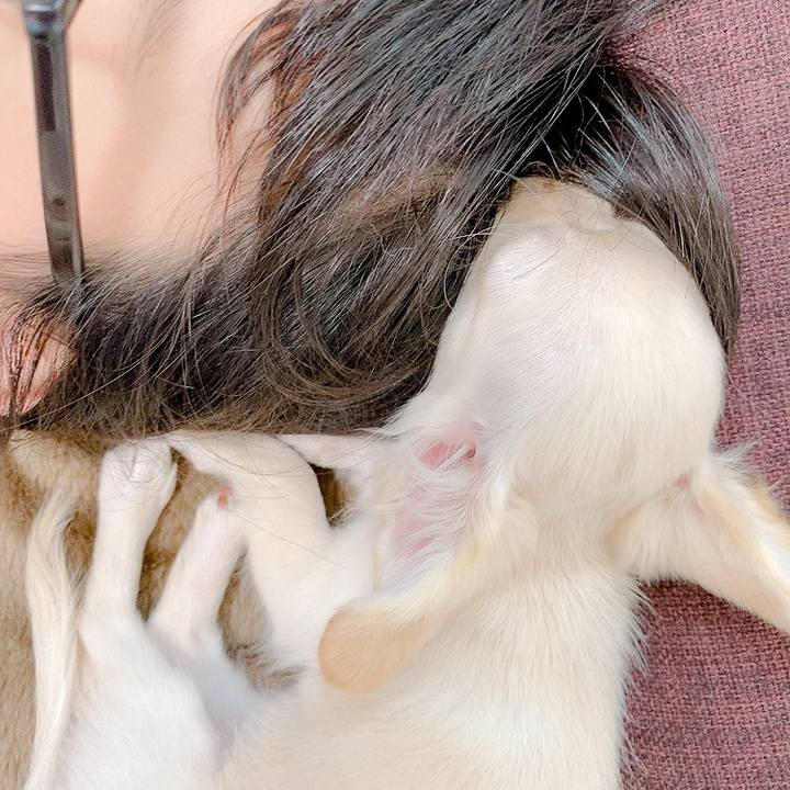 Ffd5949a 4c59 4666 85f2 1299b9a4e836 1591051179870