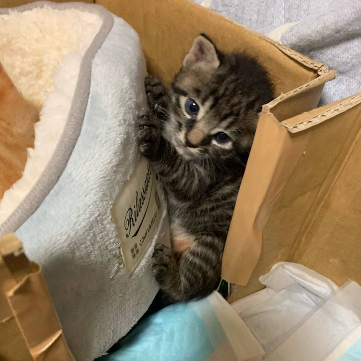 Ffd595c9 3187 400a a64b 055e82605eb1 1569854746919