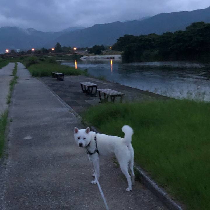 Ffd59fe6 18c1 4ad3 8dae 6f0835156c09 1596832085306