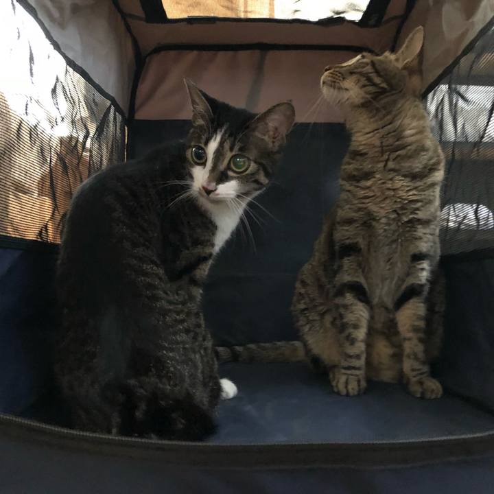 Ffd5aee2 3cba 440d a9f8 53000421fda3 1530645412243