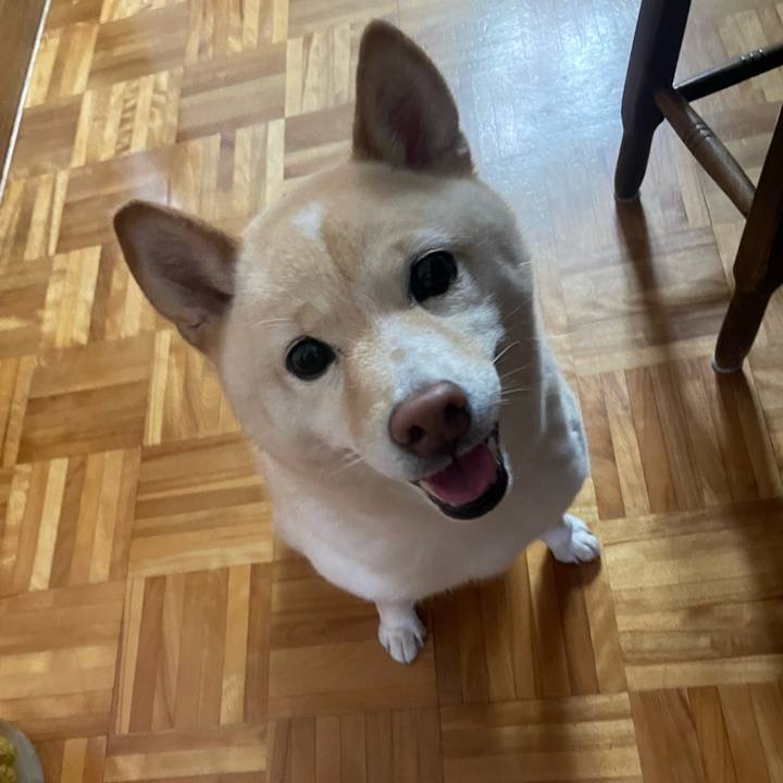 Ffd5c0e5 ac0f 43e5 8627 7fb0110b8cc3 1658185674069