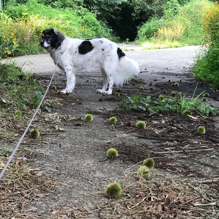 Ffd63255 947c 4543 973b 34fed1126719 1534583164499