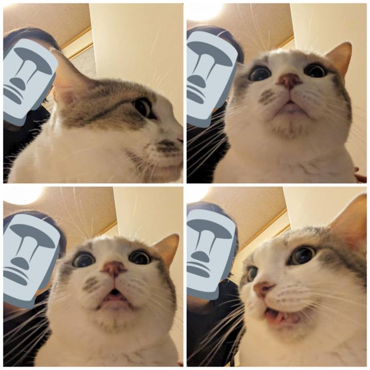 Ffd65260 b05e 4ab2 a0c9 85ea30012c6e 1693540866708