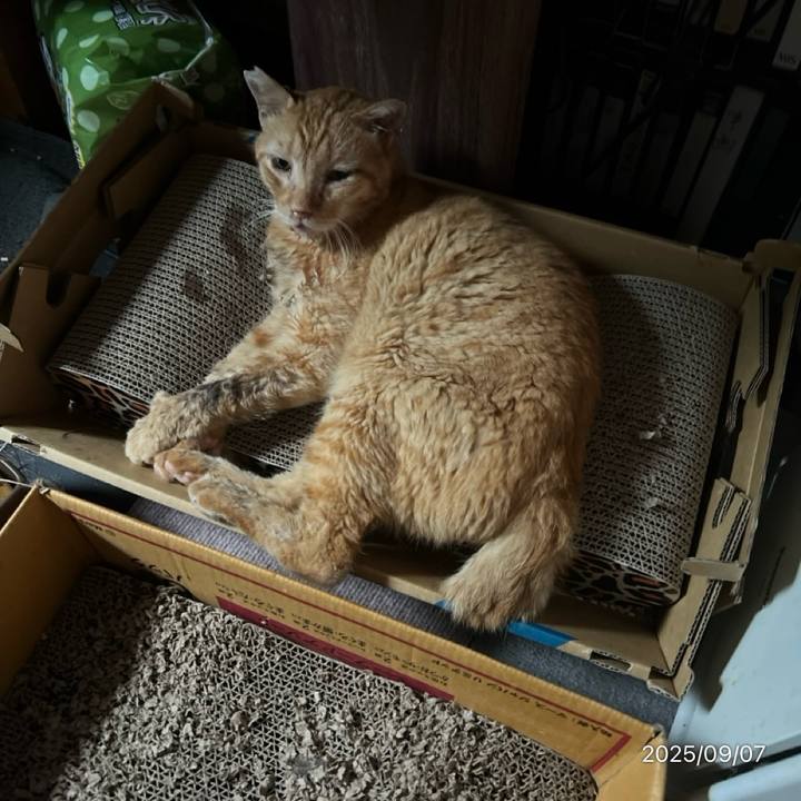 Ffd6bf49 2761 4ec2 8160 99ac8f5a3d47 1757213787410