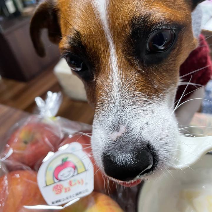 Ffd6d0de f5b1 4344 aa28 ce2414a8079b 1649981915401