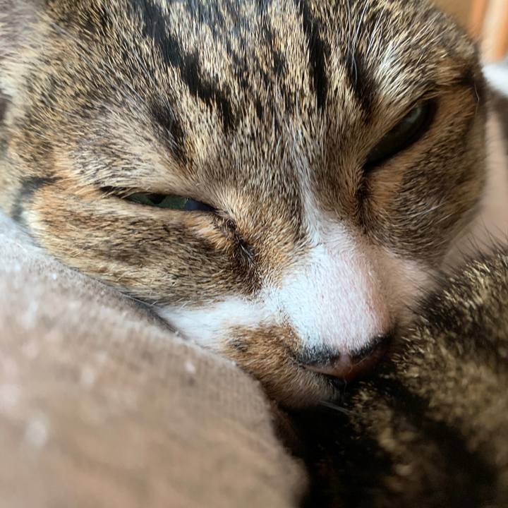 Ffd6d968 bed0 46dc a43f 22757f92e6a5 1541295221945