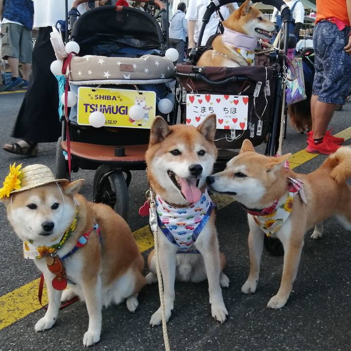 Ffd70367 dc60 4958 bc56 af4caf757229 1690714851996