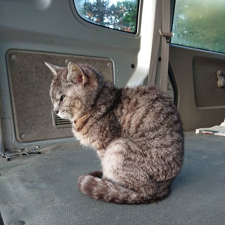 Ffd72304 ad36 419f b2ce ee0284e8a6d9 1592685175715