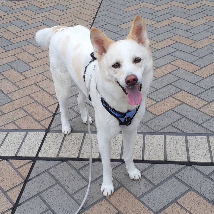 Ffd73e96 c746 4f45 920e 50aa44707841 1654993521048