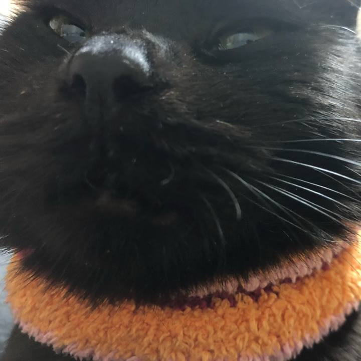 Ffd787d1 4fa2 47a2 939d a80402c5733a 1588107432625