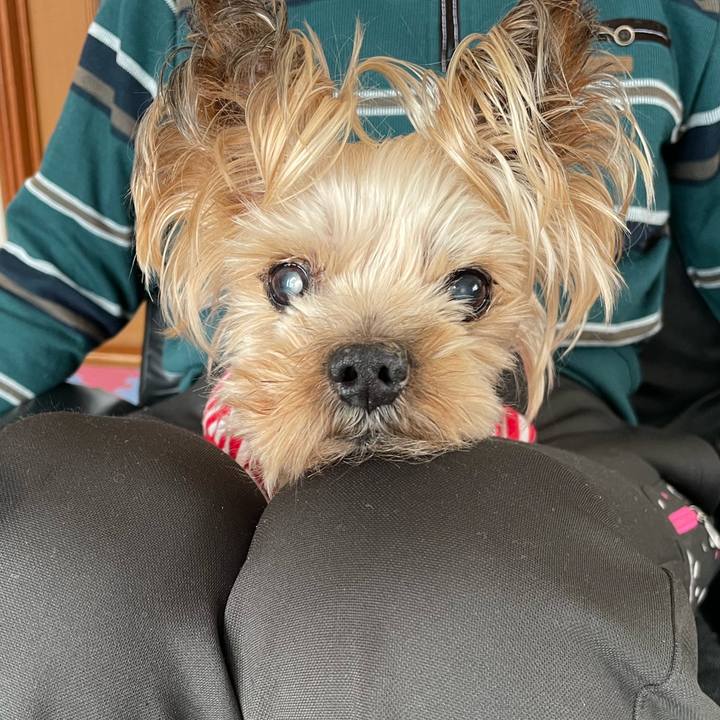 Ffd7908e 1138 41fb 8601 88874f45abb4 1673259978011