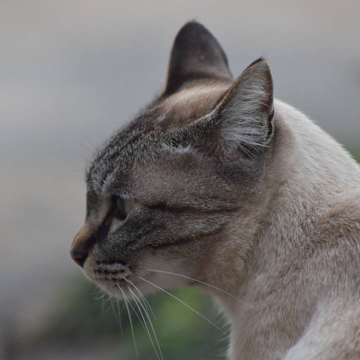 Ffd7994e 749c 43ba ada3 d933328f7f09 1553842989602