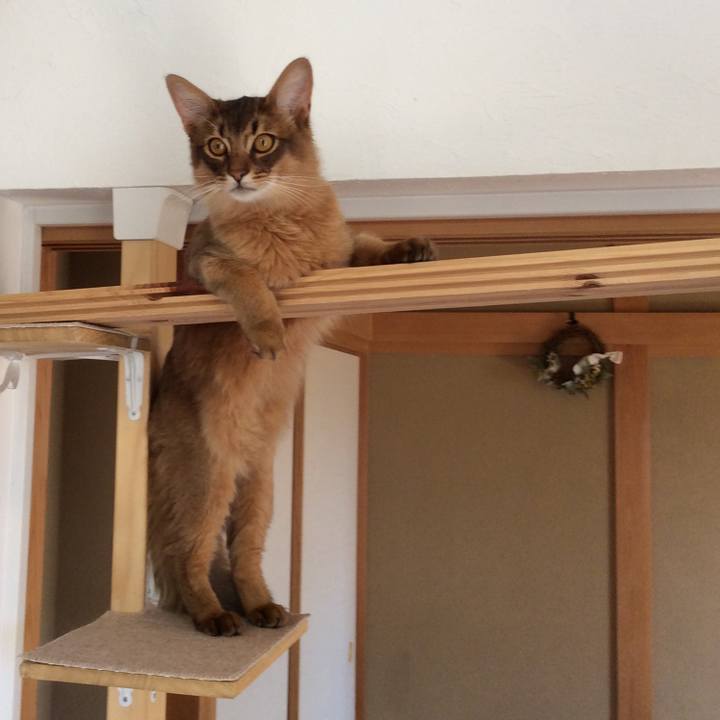 Ffd79af3 a38e 4a30 b2a7 ca1b417fc200 1587614065072