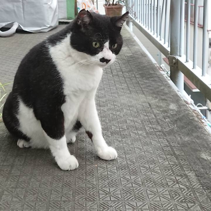 Ffd79e6d 2a7a 40b9 9cd1 cc98c1b17da7 1600762759938