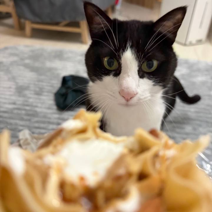 Ffd81c9f cef5 4921 abc4 98d3a953197a 1767532021601