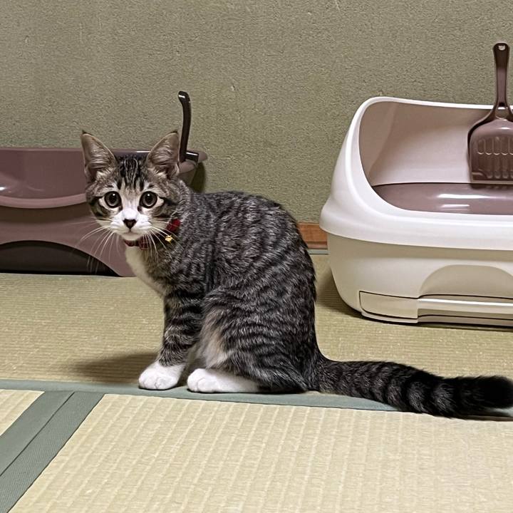 Ffd83ece 7fb4 4bb8 b4d4 69bdd66b533f 1692326386924