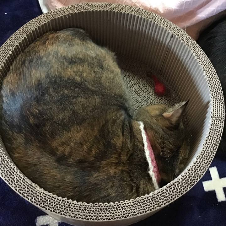 Ffd854ff 38d9 45a1 9146 ec0486cc9046 1710406645586