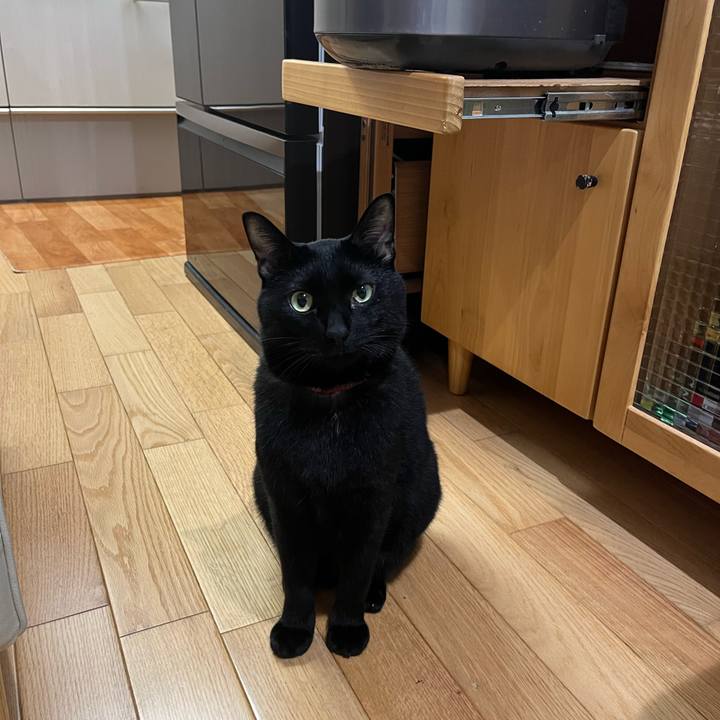 Ffd85ba4 1d14 4216 830c c4239a63f6fa 1669762762946