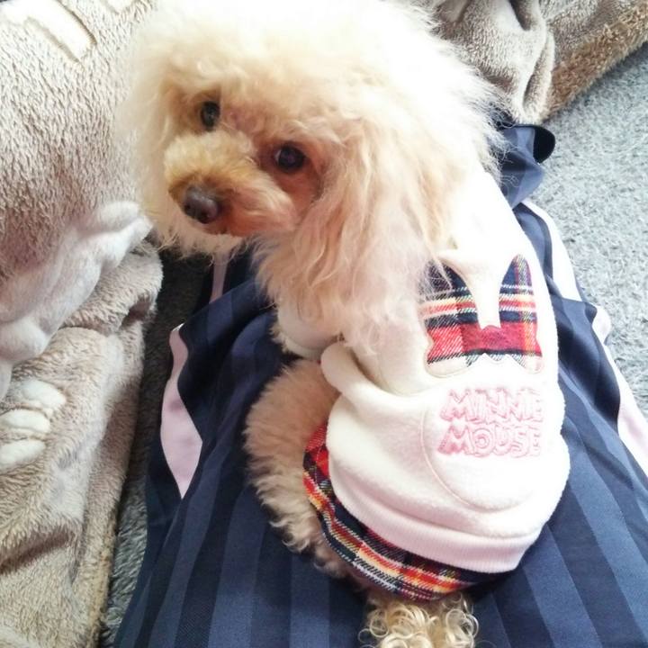 Ffd88293 f3ef 4e90 a0b6 b98cbeee7a0d 1516672086284