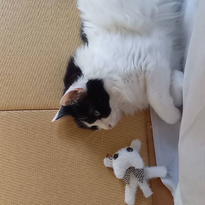 Ffd88cf0 009e 4517 83ff 095b4c9e3c69 1623621315385